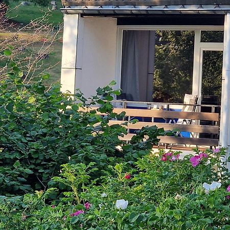 Gemuetliche Moderne Ferienwohnung Inkl. Wlan In St Andreasberg/Braunlange Sankt Andreasberg Eksteriør bilde